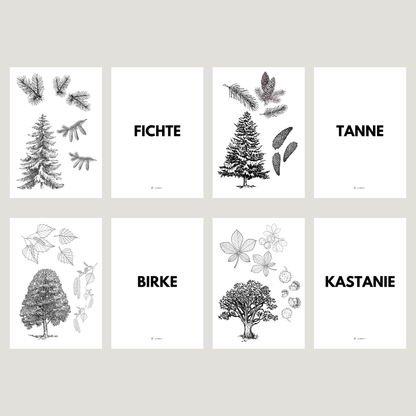 Übersicht zum Set von foodigence, welche Bäume enthalten sind 