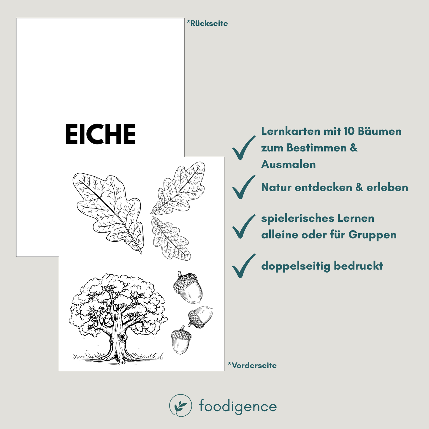 Natur spielerisch entdecken mit diesem Set von foodigence