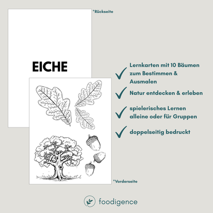 Natur spielerisch entdecken mit diesem Set von foodigence
