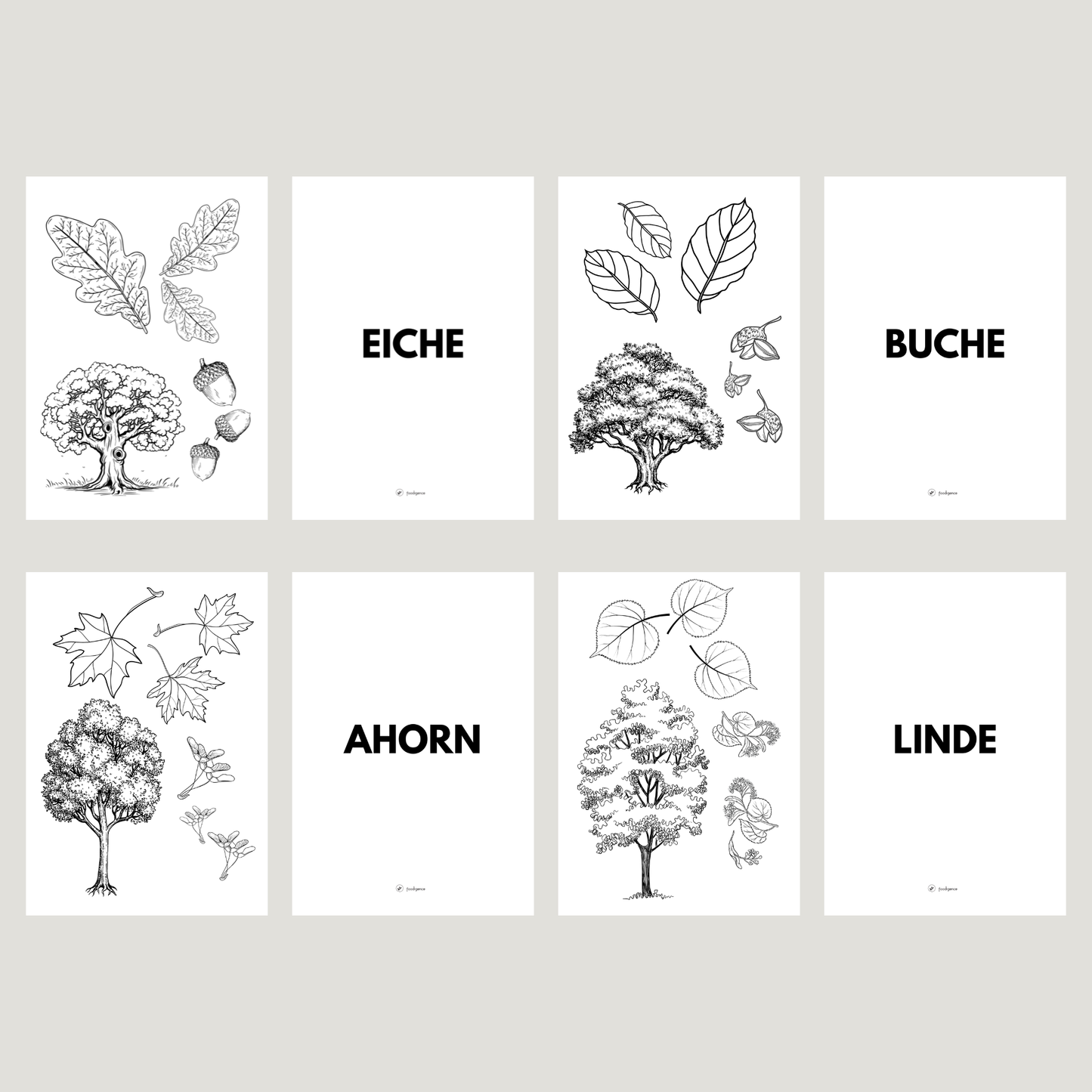 Übersicht zum Set von foodigence, welche Bäume enthalten sind 