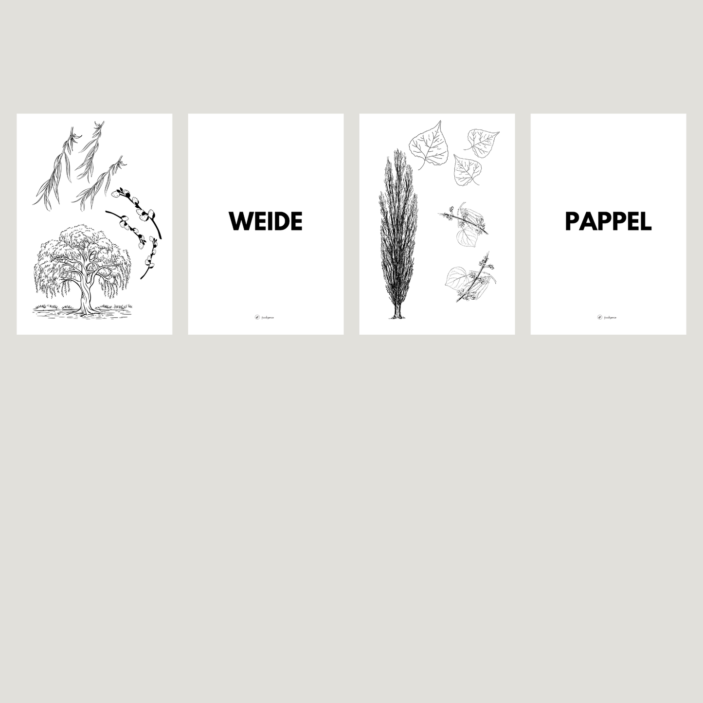 Übersicht zum Set von foodigence, welche Bäume enthalten sind 