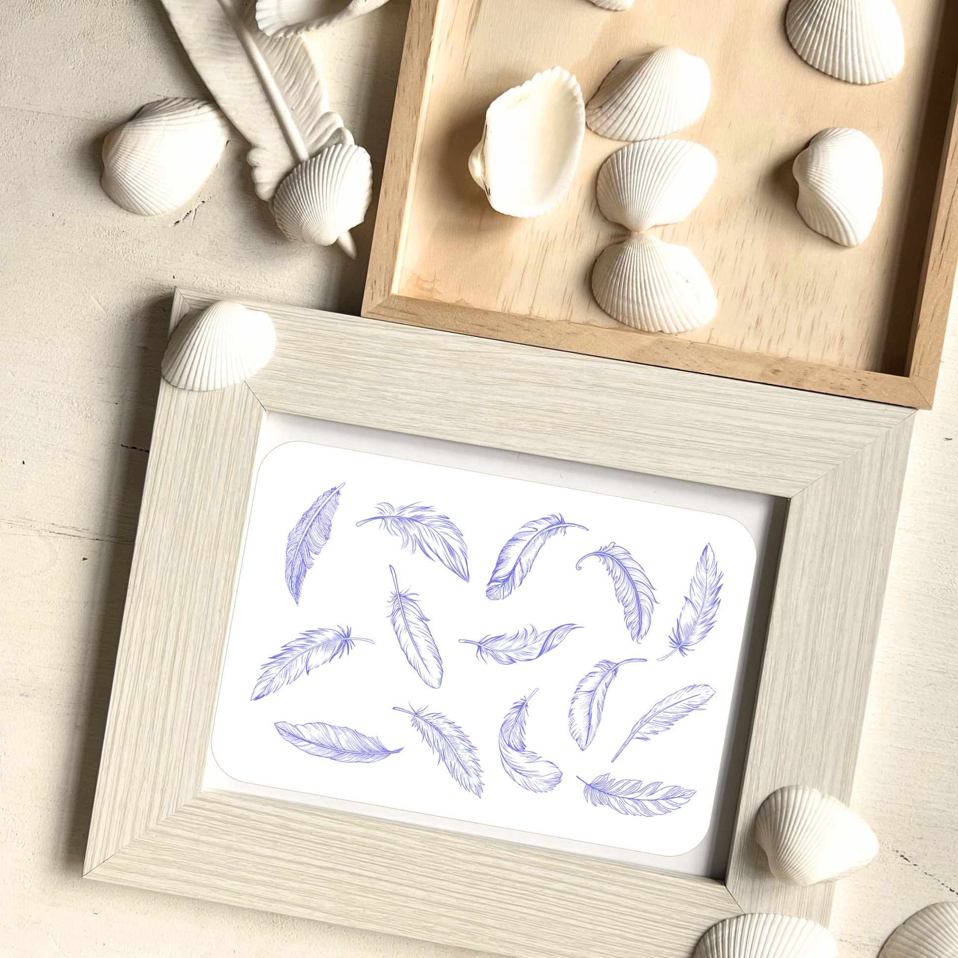 Feder Postkarte gerahmt