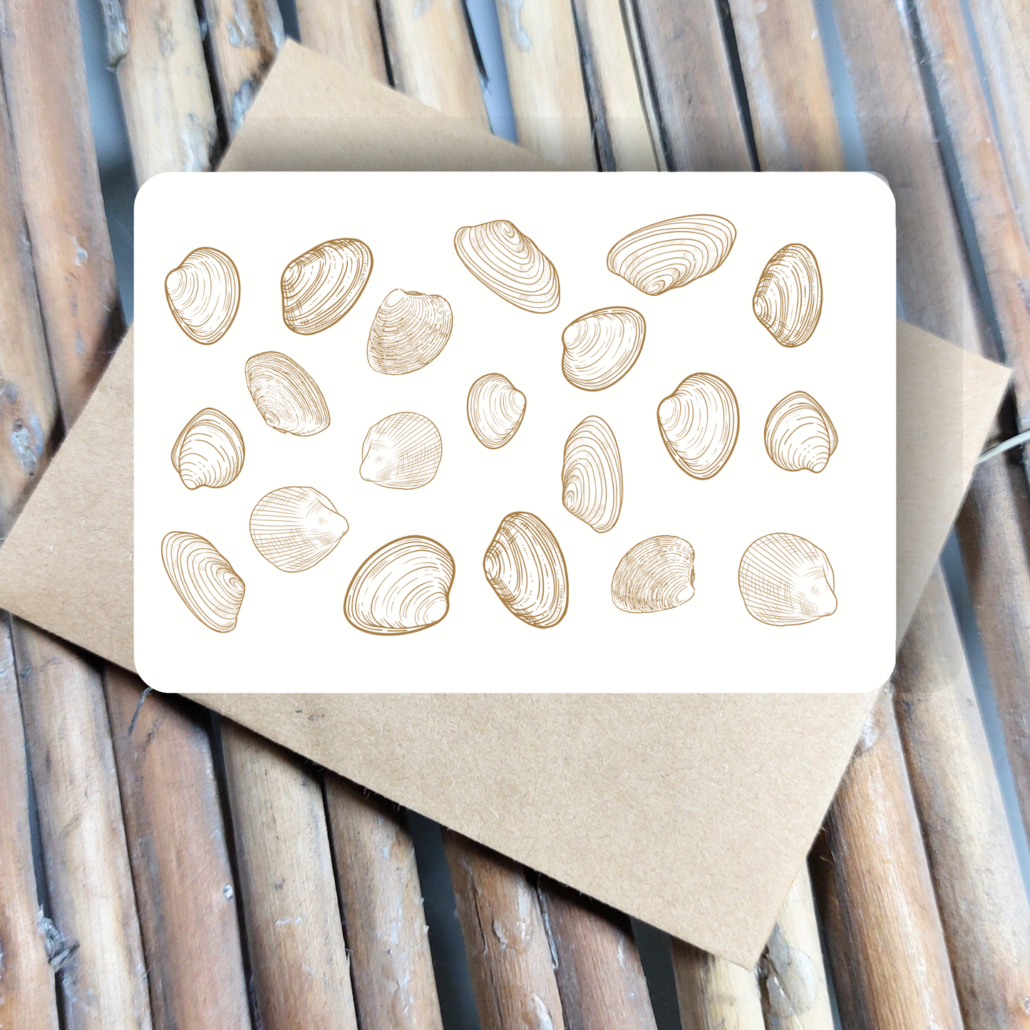 Postkarte mit Muscheln minimalistisch