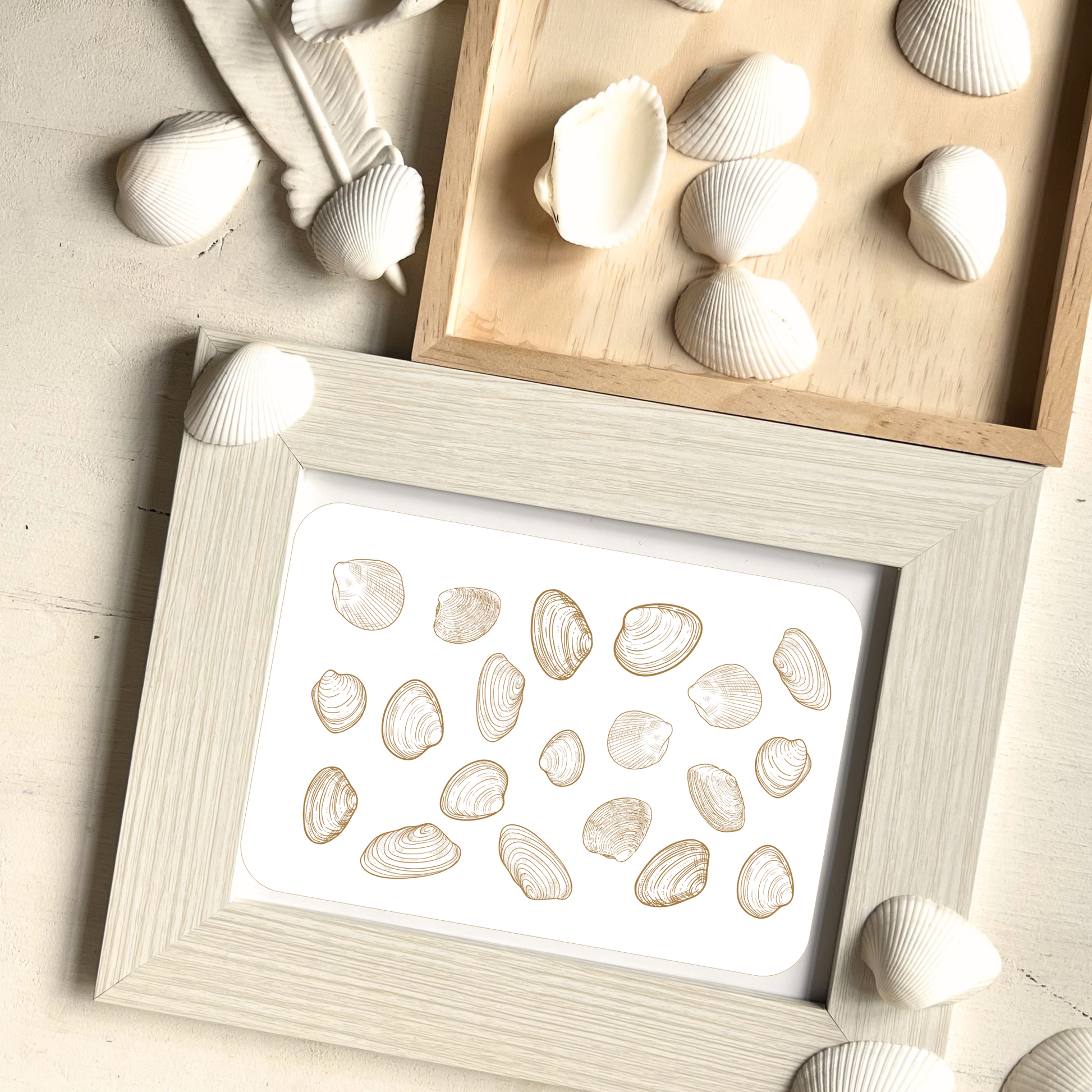 Muschel Postkarte gerahmt vor echten Muscheln als Hintergrund