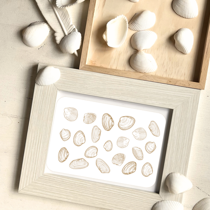 Muschel Postkarte gerahmt vor echten Muscheln als Hintergrund
