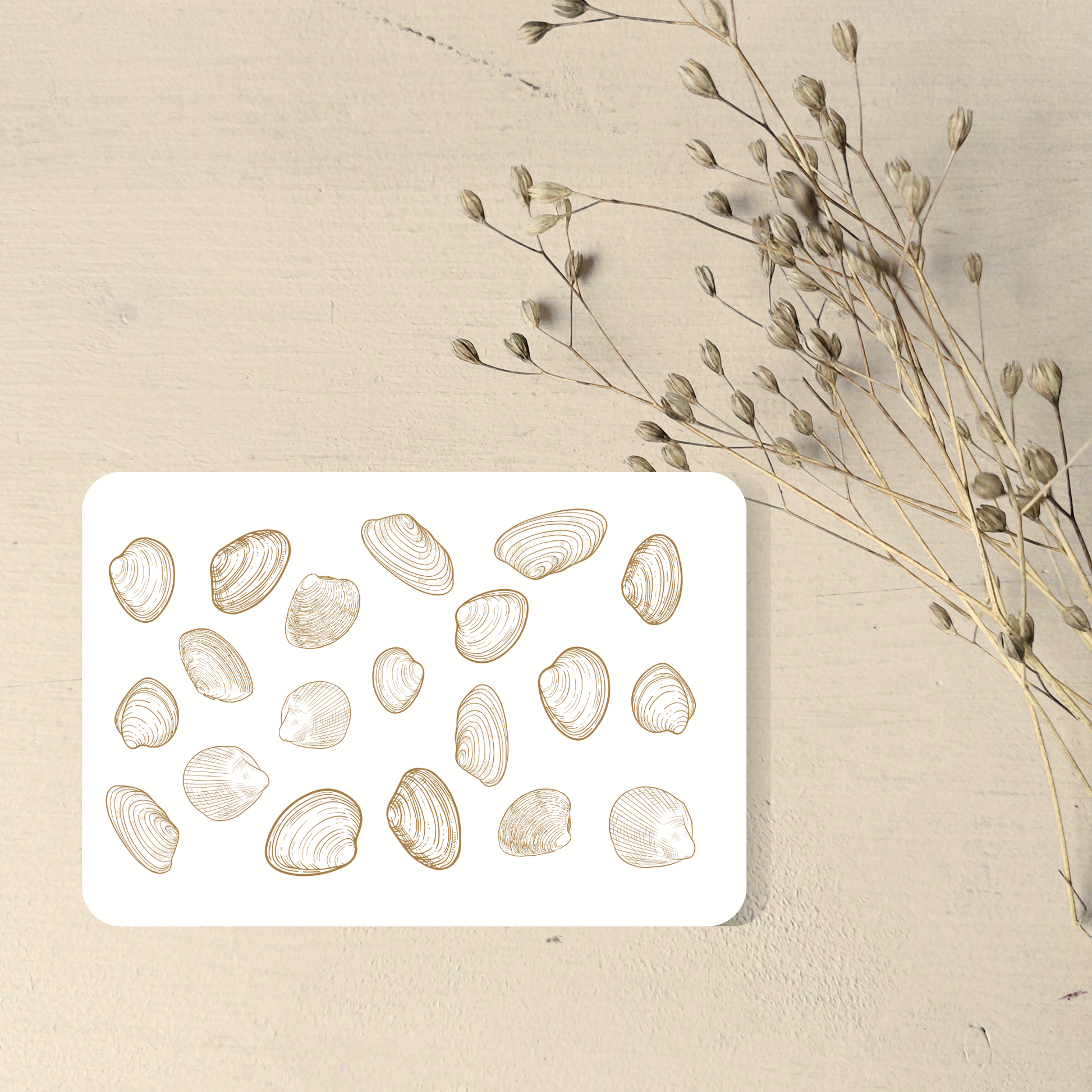 Postkarte vor trockenblume