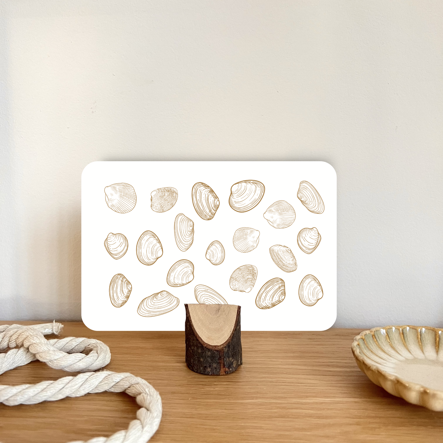 Postkarte in einem Kartenständer mit Muscheln