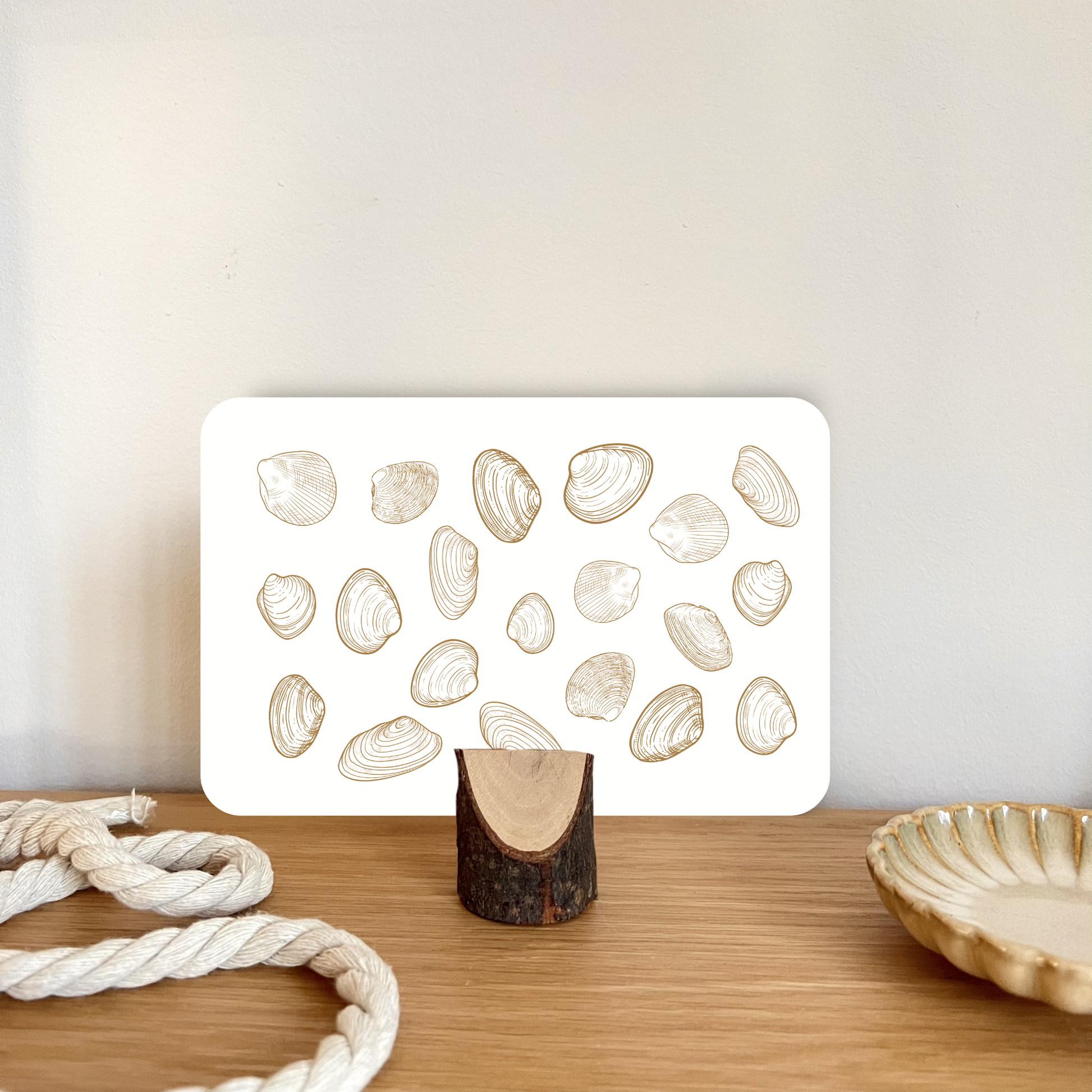 Postkarte in einem Kartenständer mit Muscheln