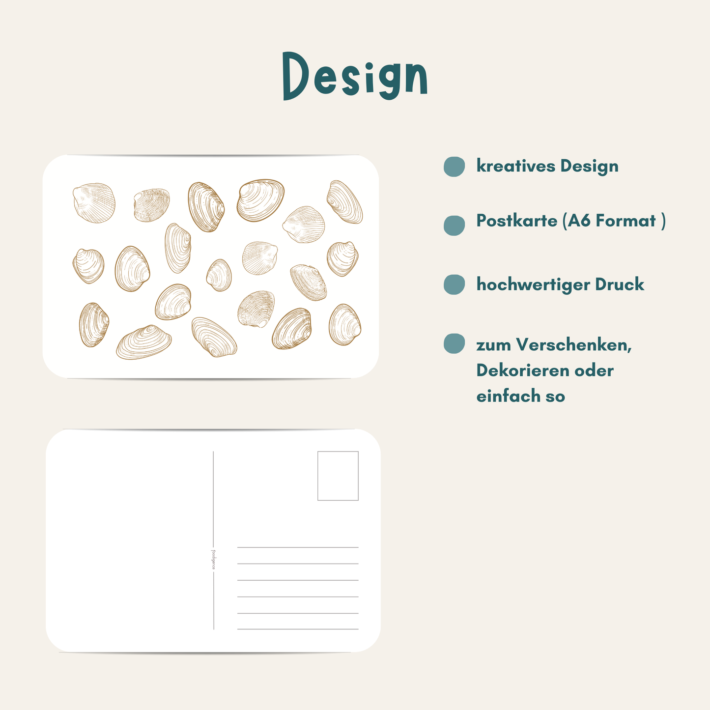 Übersicht zur Muschel-Postkarte