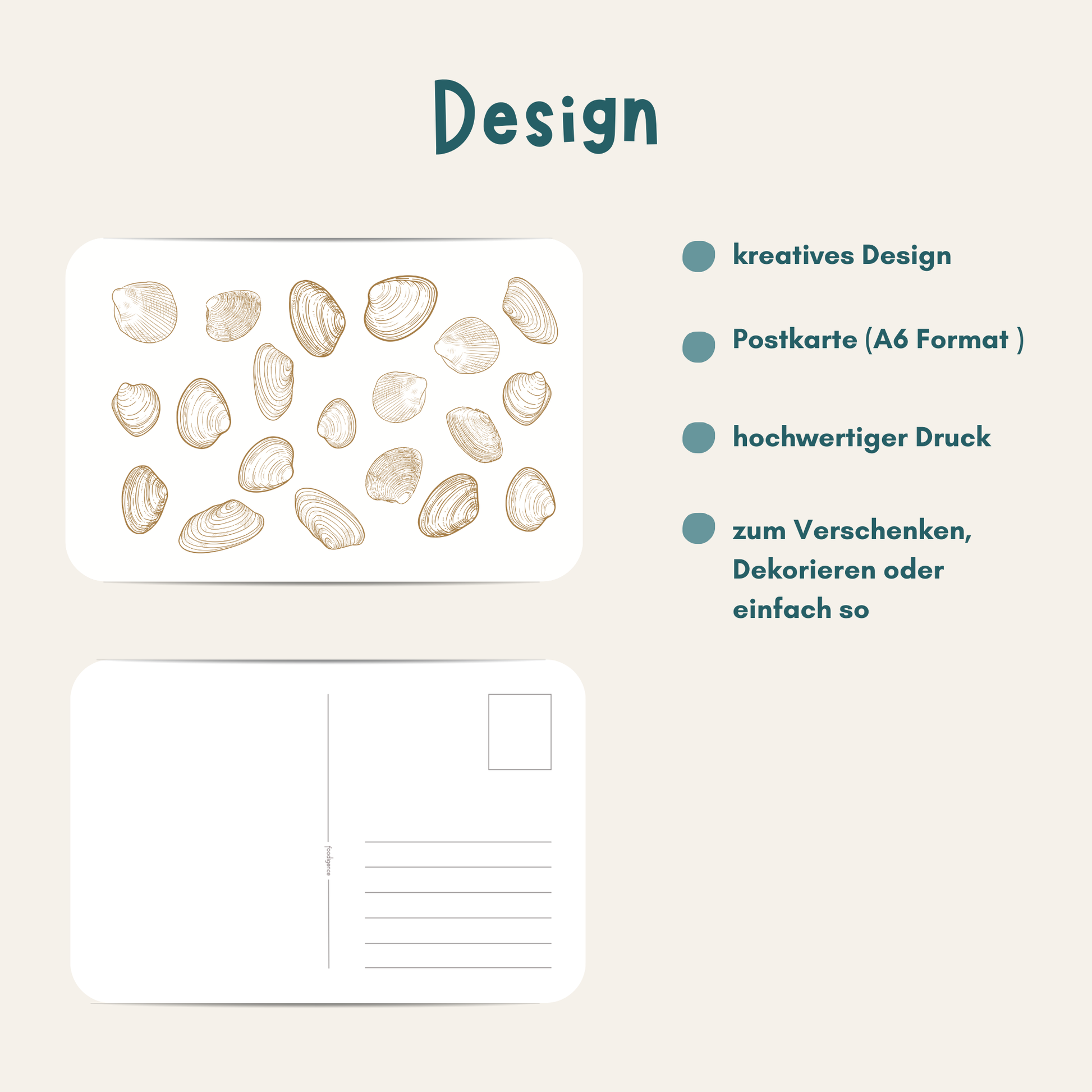 Übersicht zur Muschel-Postkarte