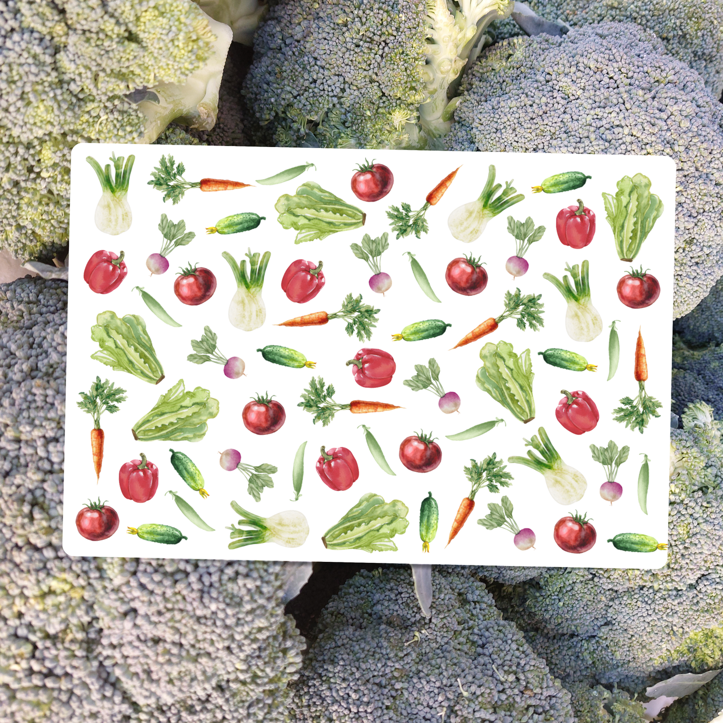 Gemüse Postkarte DIN A6 – Illustrierte Grußkarte Fenchel, Karotten & Tomaten