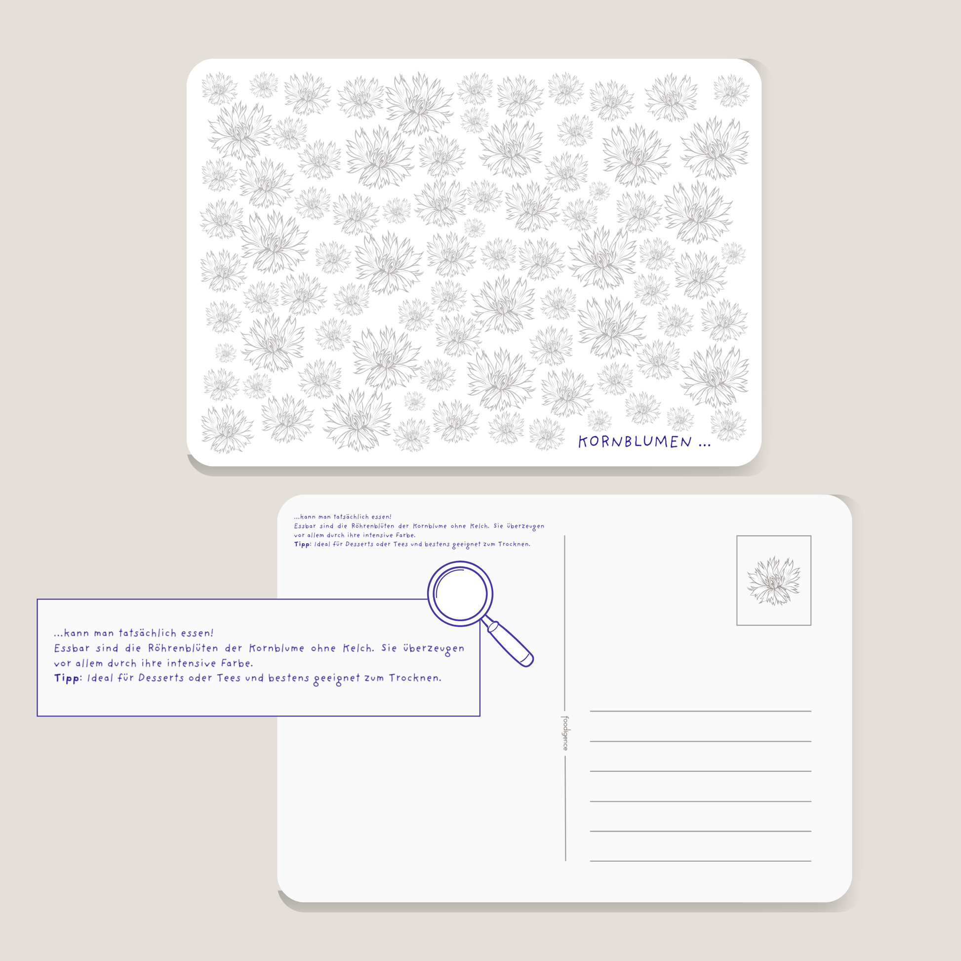 Postkarte  DIY KORNBLUMEN mit Tipps zum Verzehr der Blüten von foodigence