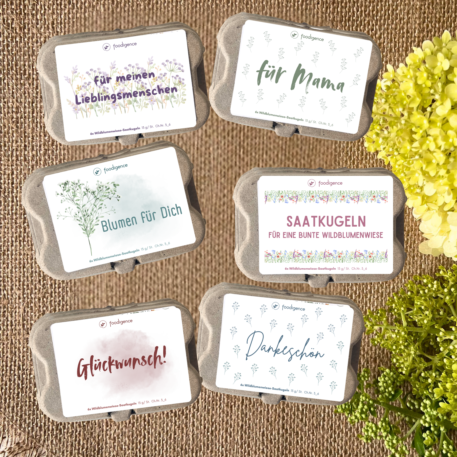 Saatkugeln groß 6er Set alles Designs in der Übersicht