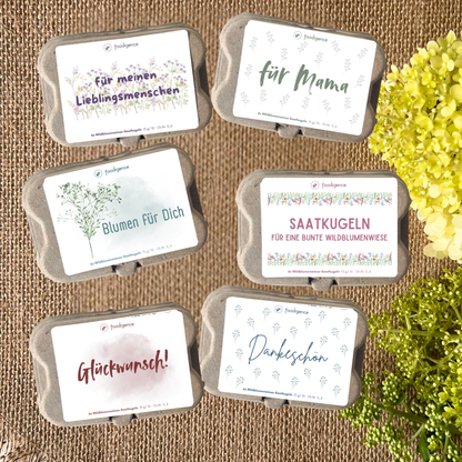 Saatkugeln groß 6er Set alles Designs in der Übersicht