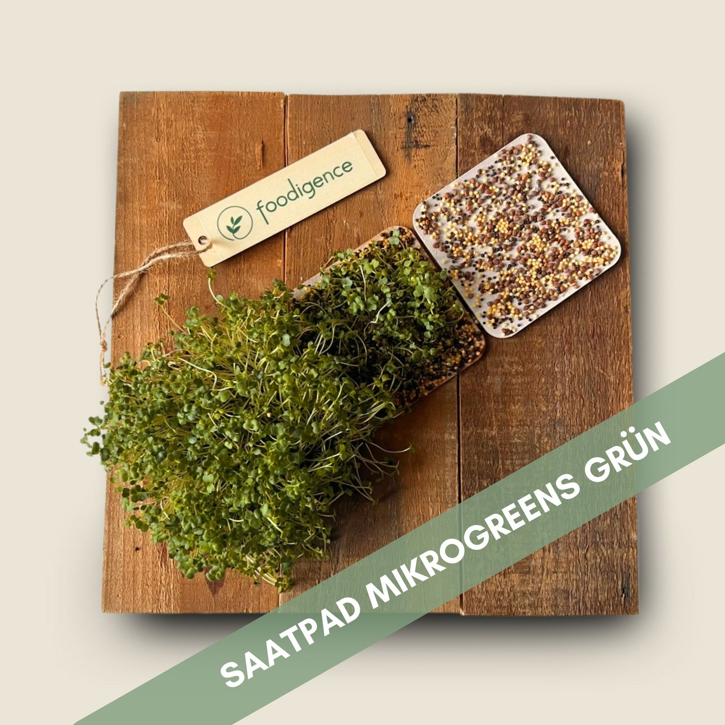 Grüne Mikrogreens foodigence