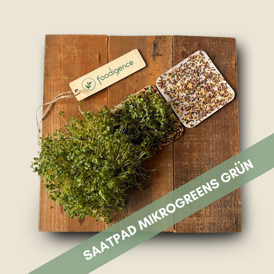 Grüne Mikrogreens foodigence