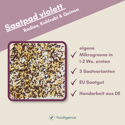 Saatpad mit violetten Mikrogreens von foodigence