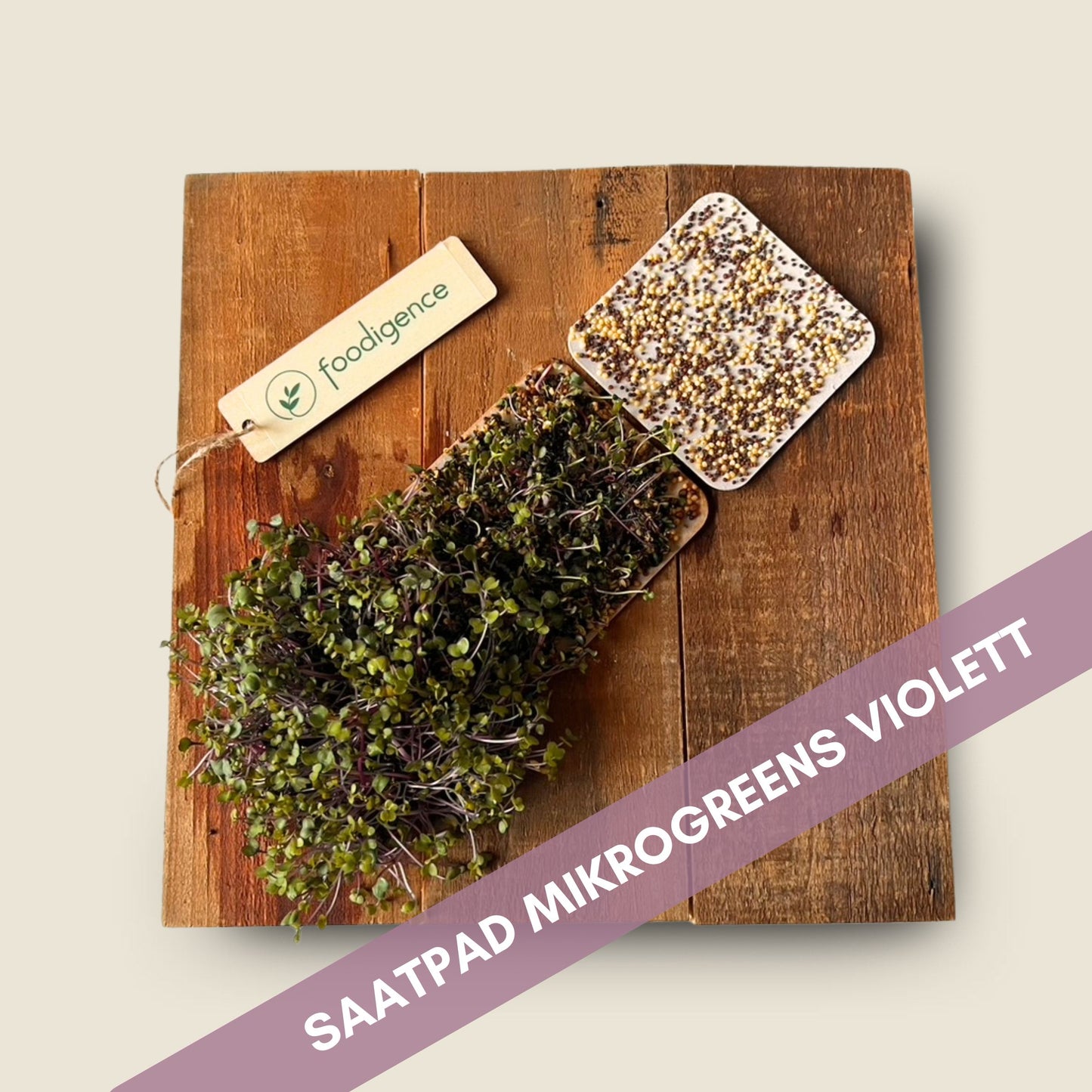 Violette Mikrogreens von foodigence