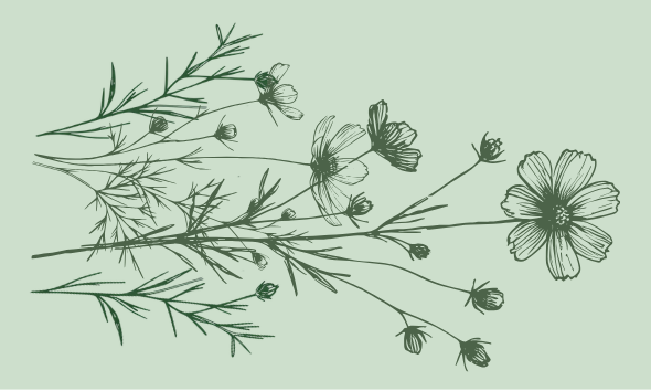 Blume minimalistisch als Abbildung