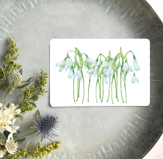 Postkarte auf Teller mit Schneeglöckchen