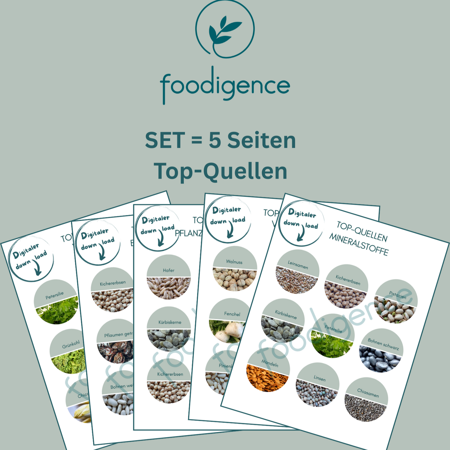 Set-5-Top-Quellen-DE-foodigence-2