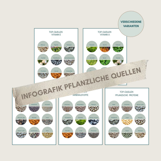 Bundle Topquellen foodigence beste Inhaltsstoffe pflanzlichen Ursprungs