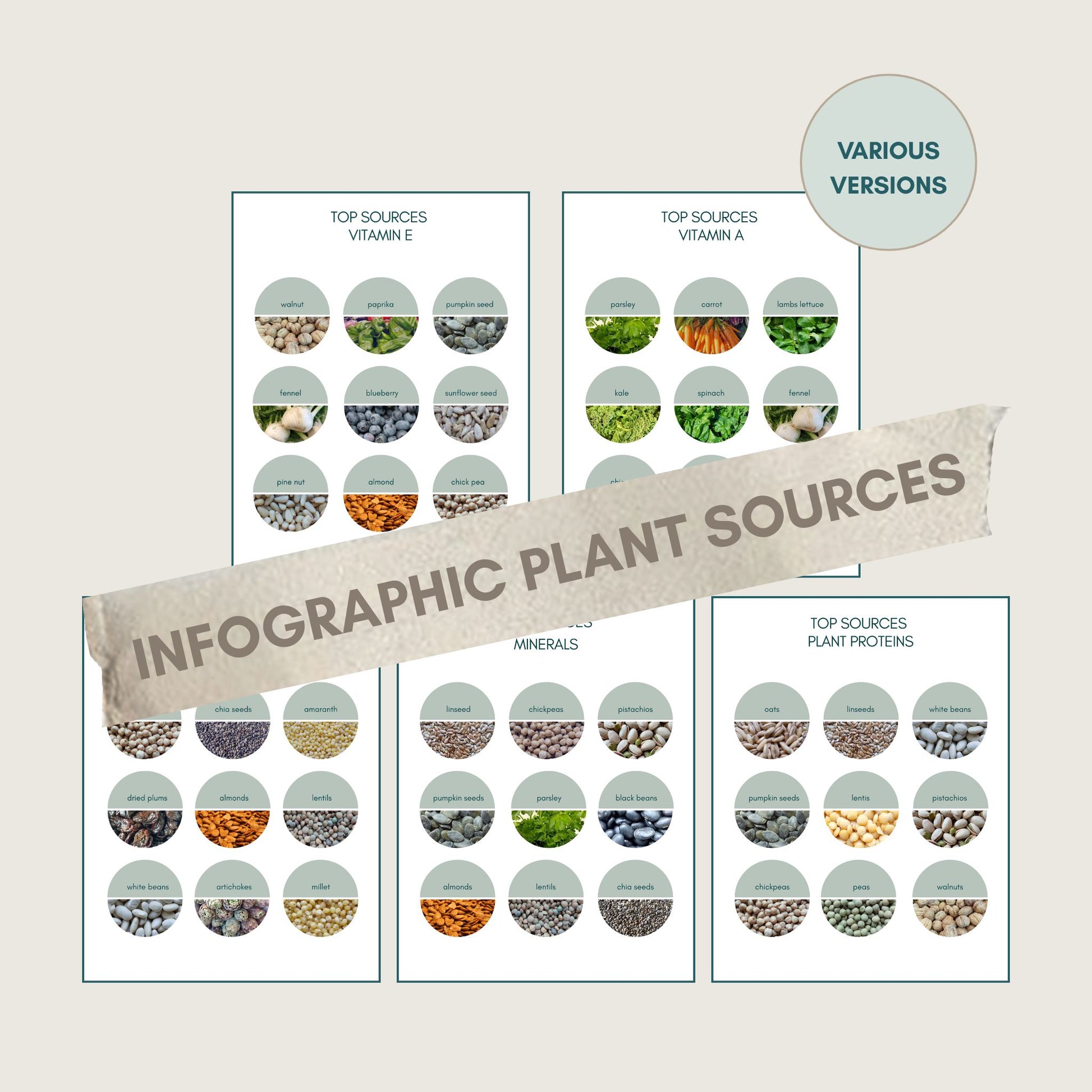 Bundle Topquellen foodigence beste Inhaltsstoffe pflanzlichen Ursprungs