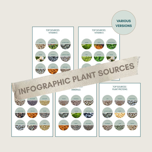 Bundle Topquellen foodigence beste Inhaltsstoffe pflanzlichen Ursprungs