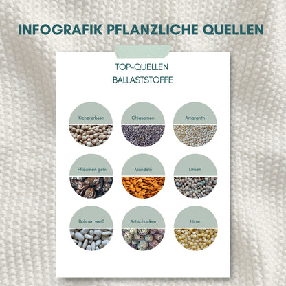 Top Quellen für Ballaststoffe - Ernährungsinfografik mit ballaststoffreichen Lebensmitteln