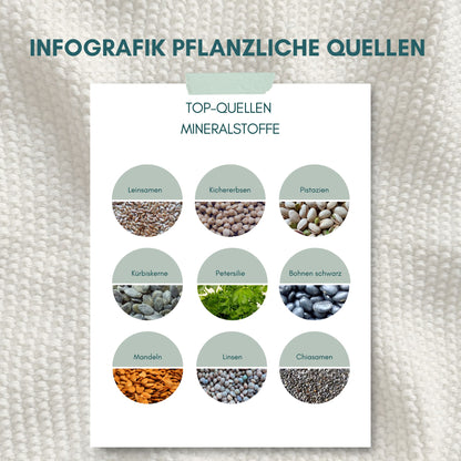 Top Quellen für Mineralstoffe - Ernährungsinfografik mit den besten mineralstoffreichen Lebensmitteln