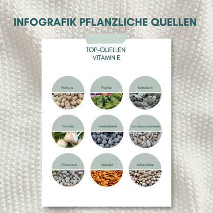 Top Quellen für Vitamin E - Ernährungsinfografik mit den besten Vitamin-E-reichen Lebensmitteln
