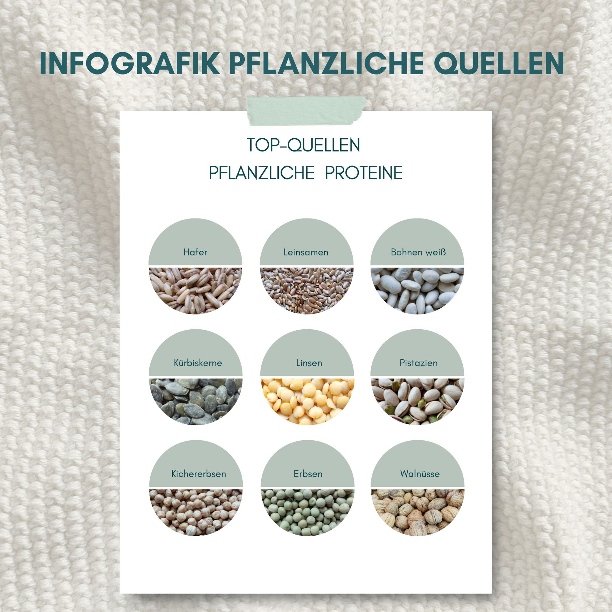 Top Quellen für pflanzliche Proteine - Ernährungsinfografik mit den besten pflanzlichen Proteinquellen