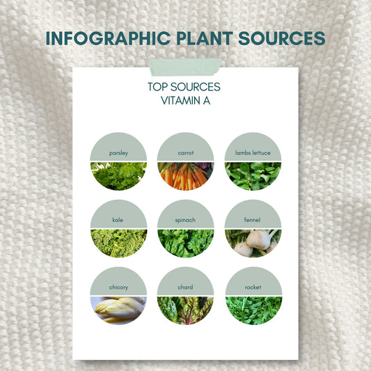 Top Sources for Vitamin A - Nutrition infographic showing best vitamin A rich foods