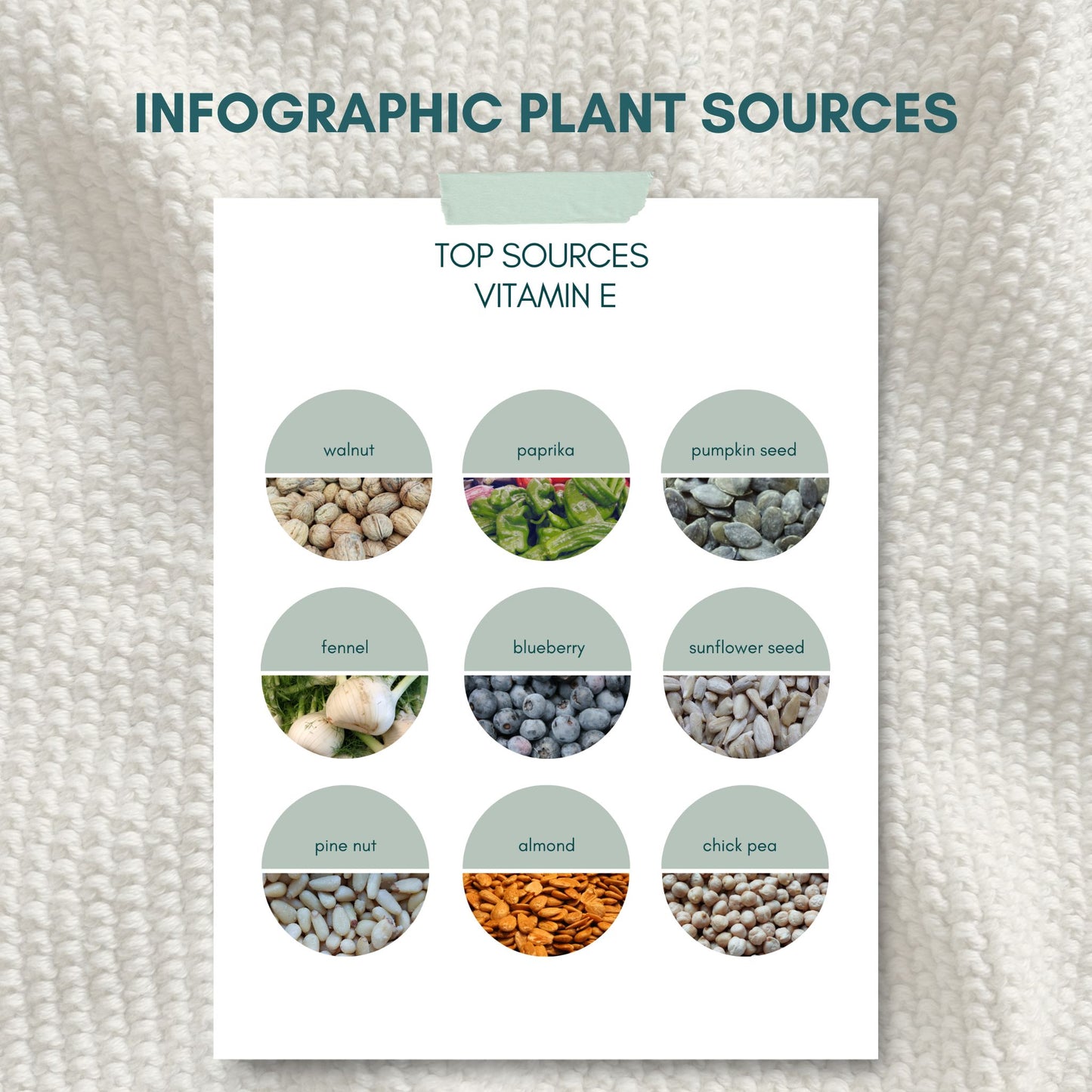 Top Sources for Vitamin E - Nutrition infographic showing best vitamin E rich foods