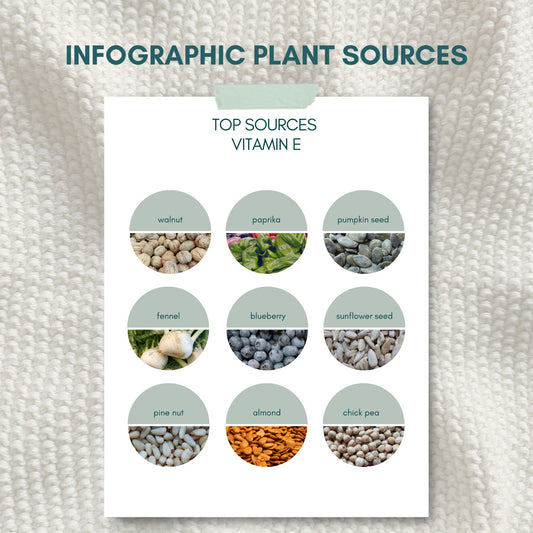 Top Sources for Vitamin E - Nutrition infographic showing best vitamin E rich foods