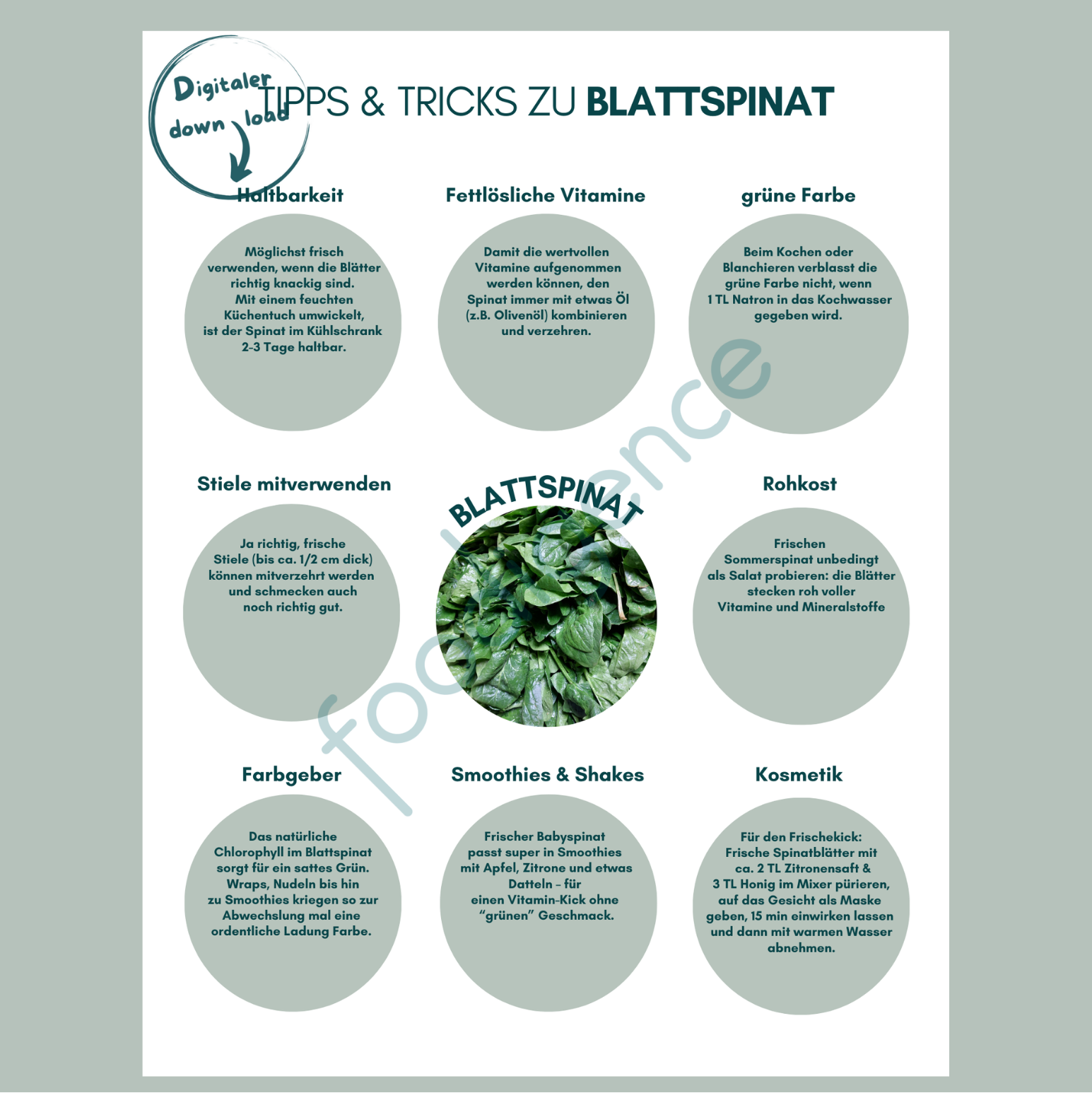Tipps-und-Tricks-Blattspinat-foodigence-1