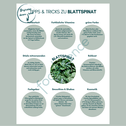 Tipps-und-Tricks-Blattspinat-foodigence-1