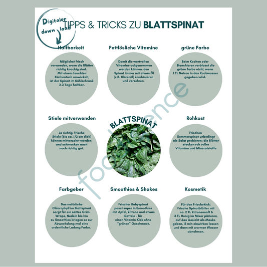 Tipps-und-Tricks-Blattspinat-foodigence-1