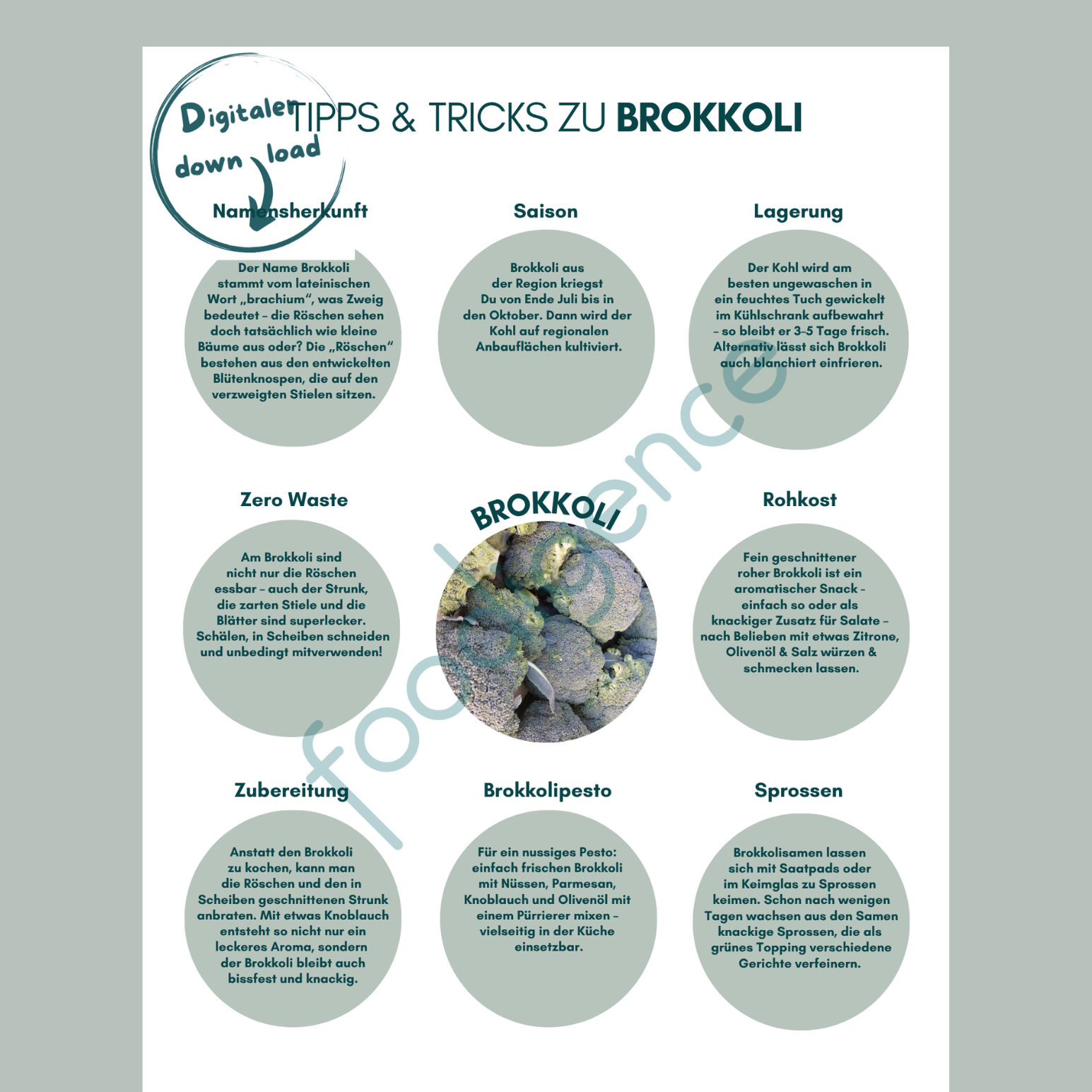 Tipps-und-Tricks-Brokkoli-DE-foodigence-3 