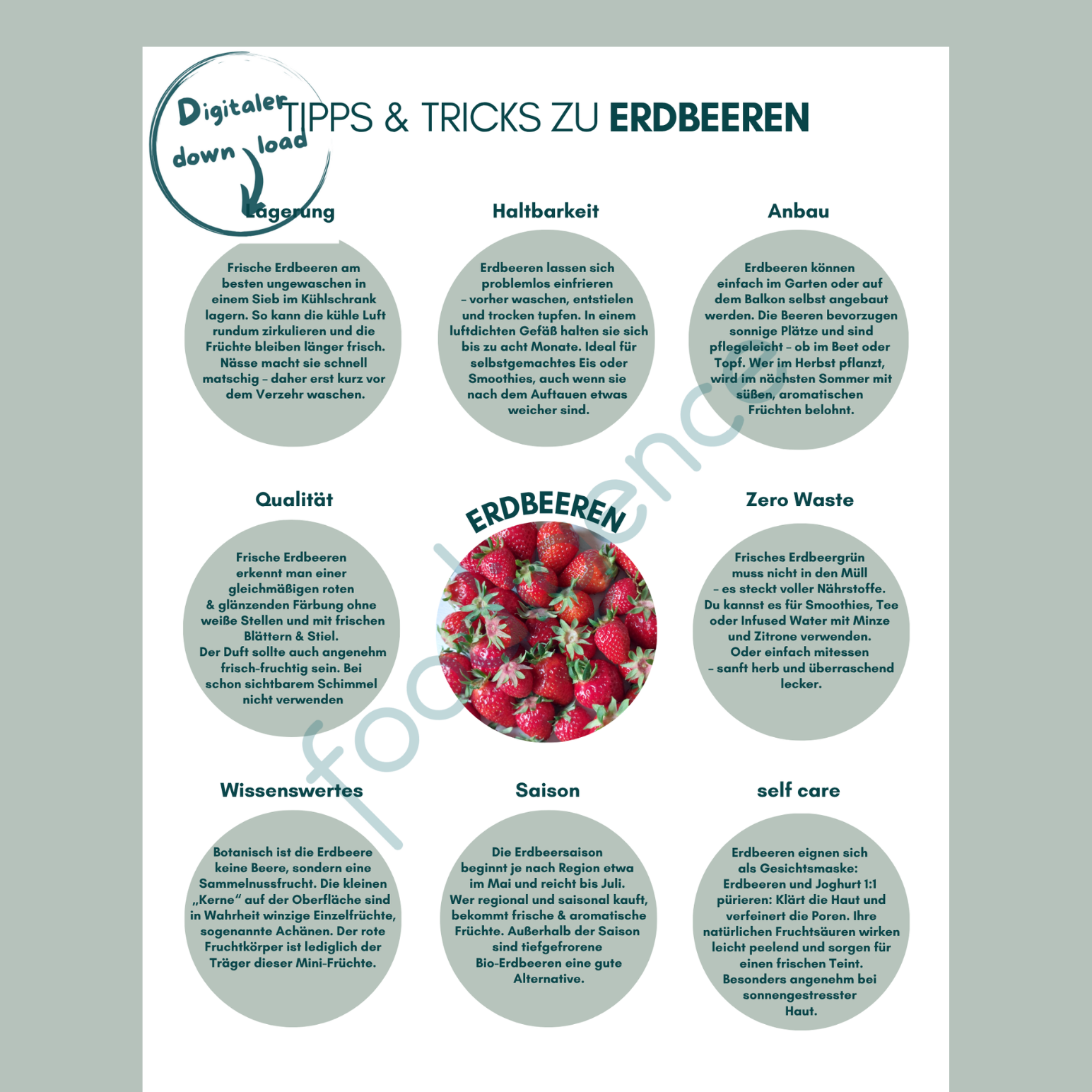 Tipps-und-Tricks-Erdbeere-DE-foodigence-1