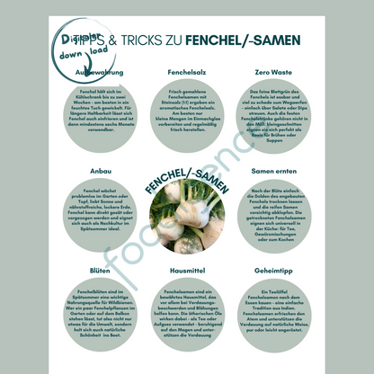 Tipps-und-Tricks-Fenchel-DE-foodigence-1
