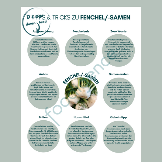 Tipps-und-Tricks-Fenchel-DE-foodigence-1
