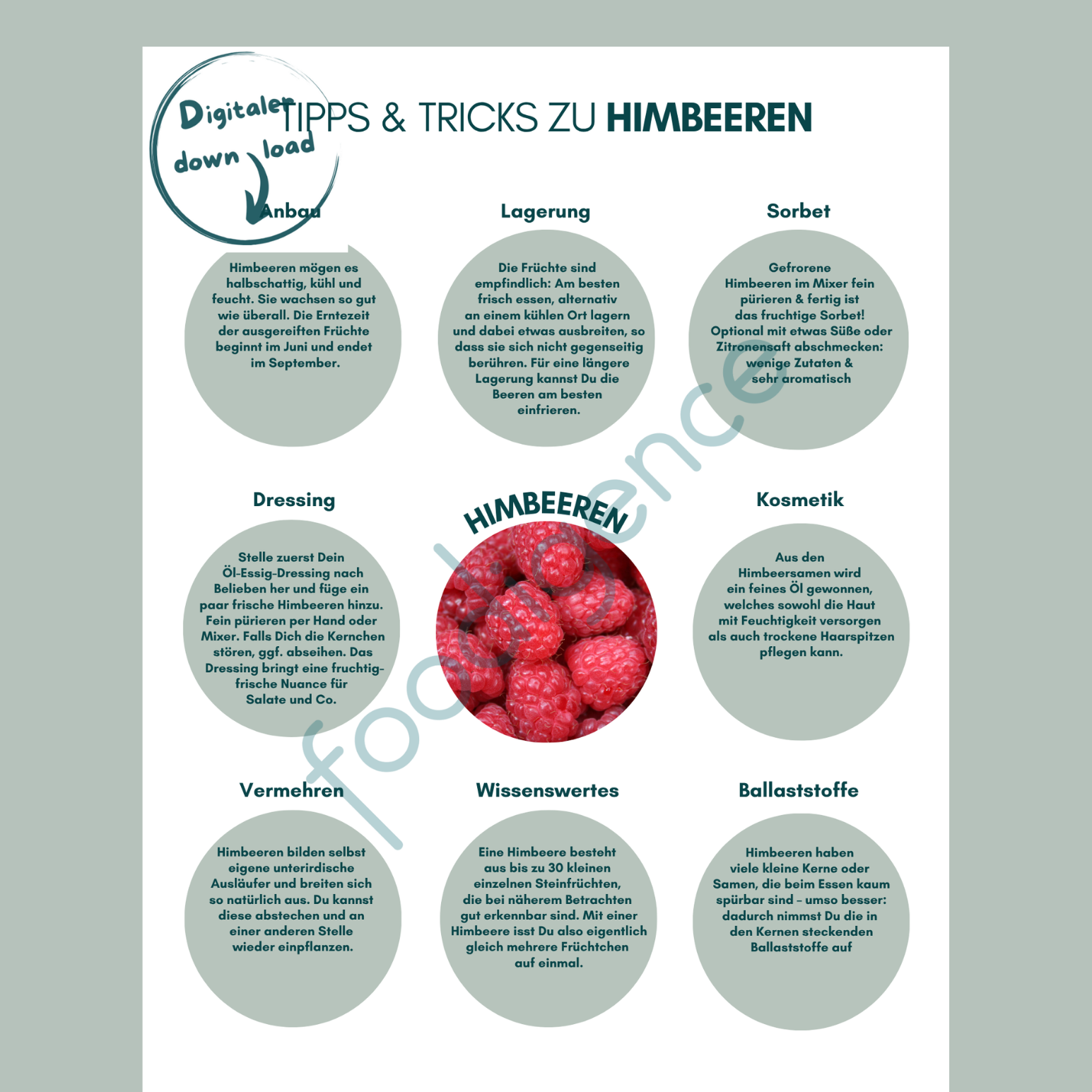 Himbeeren Tipps und Tricks - 9 praktische Küchentipps foodigence
