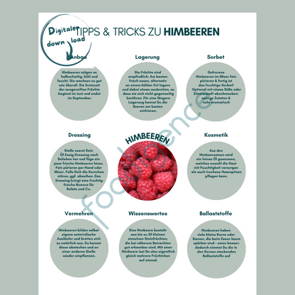 Himbeeren Tipps und Tricks - 9 praktische Küchentipps foodigence