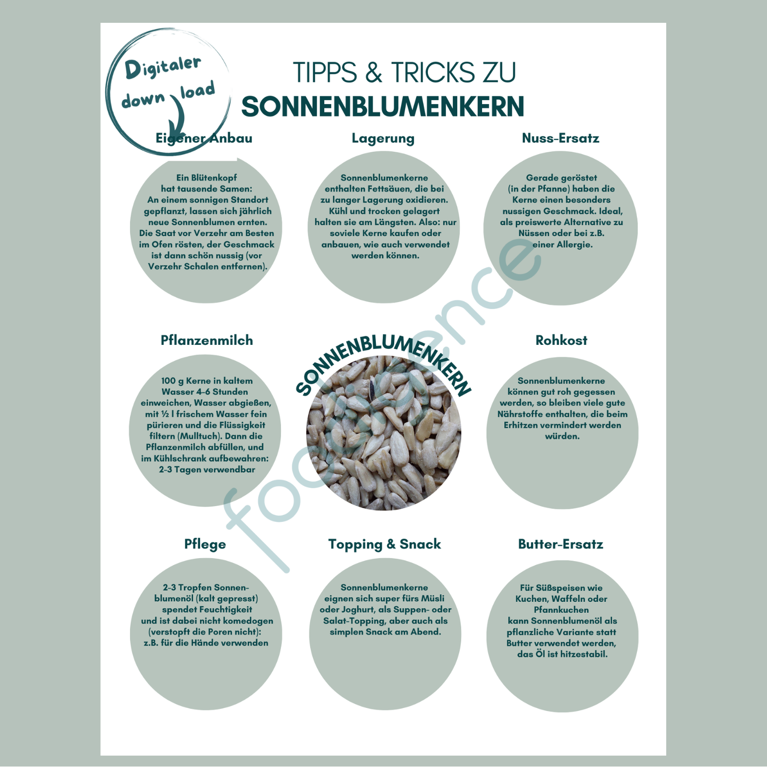 Tipps-und-Tricks-Sonnenblumenkerne-DE-foodigence-1