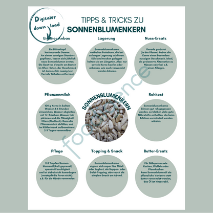 Tipps-und-Tricks-Sonnenblumenkerne-DE-foodigence-1