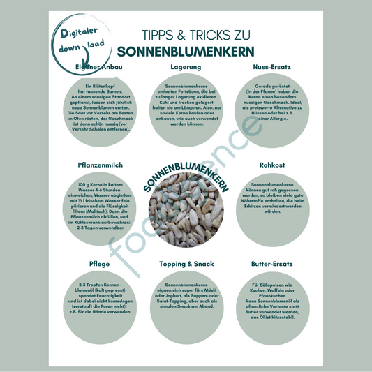 Tipps-und-Tricks-Sonnenblumenkerne-DE-foodigence-1