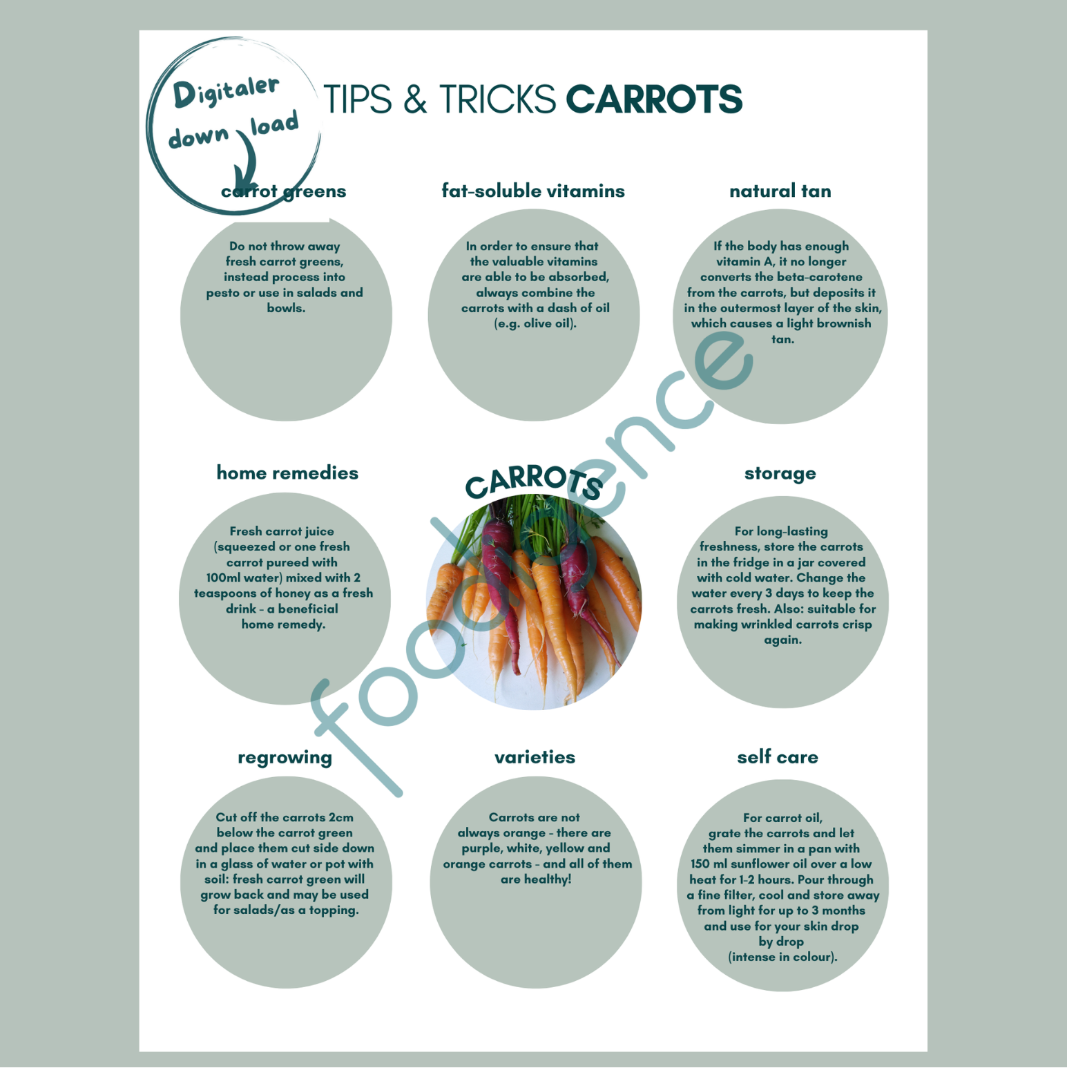 Tipps-und-Tricks-carrots-ENG-foodigence-1