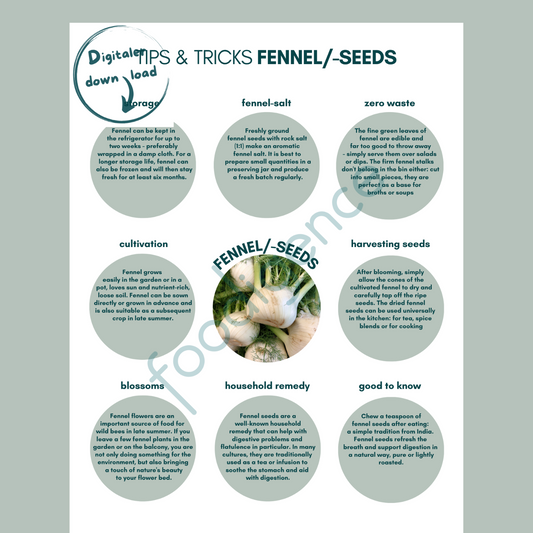 Tipps-und-Tricks-fennel-ENG-foodigence-1