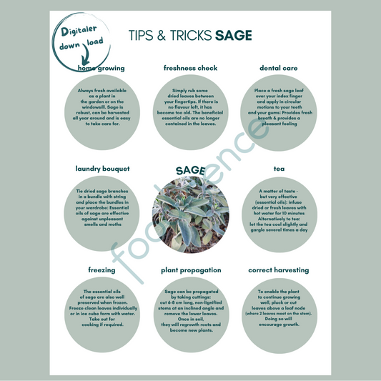Tipps-und-Tricks-sage-ENG-foodigence-1
